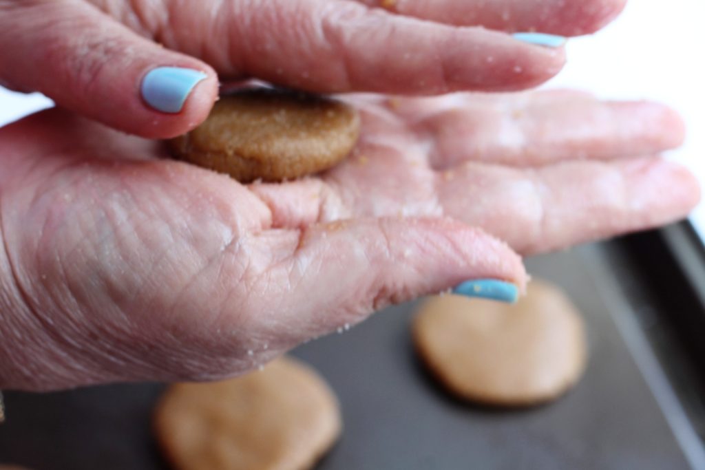 Easy, kid-friendly Tahini Cookies! Vegan, GF