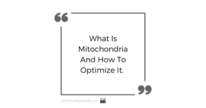 What is Mitochondria