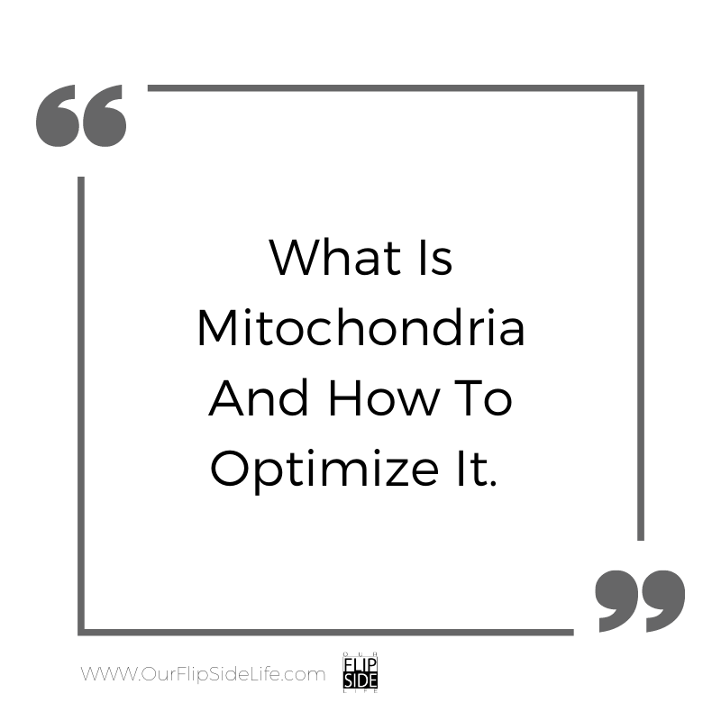 What is Mitochondria and how to optimize it