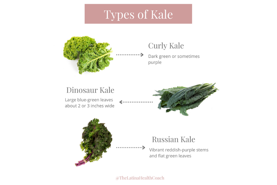 3 Types of Kale and How to Use Them